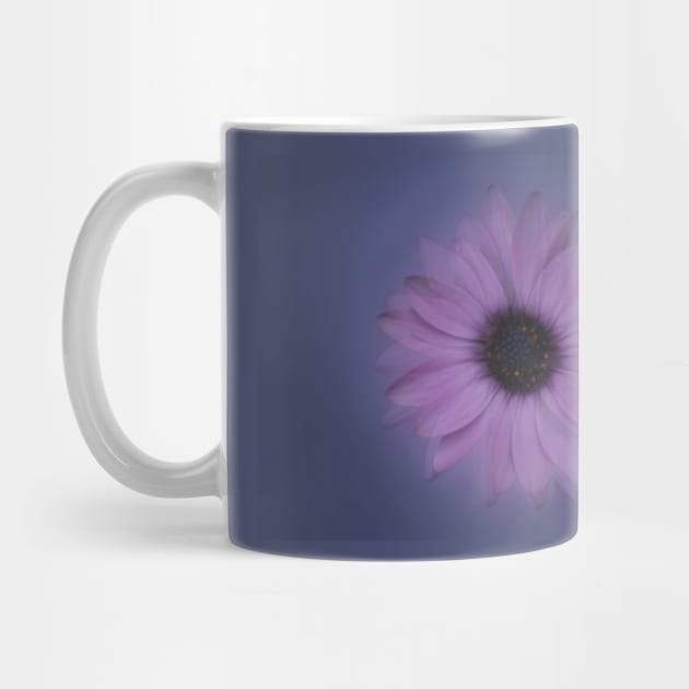 Shabby-chic African Daisy Flower by oknoki